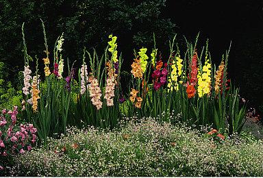 2K临危换帅 前《Apex英雄》元老执掌《ETHOS计划》